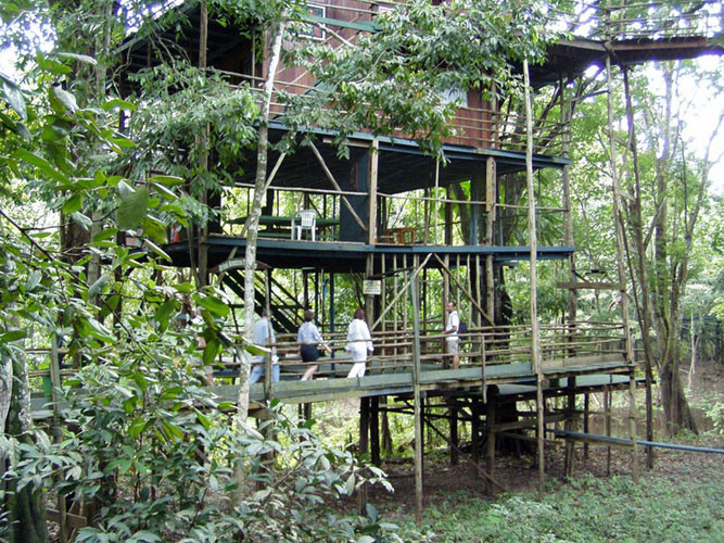 Tọa lạc tại Rio Negro, Amazon Ariau là khách sạn thương mại trên ngọn cây lớn nhất thế giới. Tháp cao nhất của Amazon Ariaú được gọi là Ngôi nhà Tarzanf, nằm trên ngọn của một cây Mmahogany vẫn đang sinh trưởng.