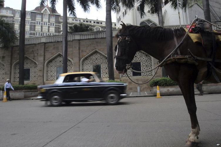 Số lượng taxi Fiat ở Mumbi đã giảm đáng kể. Trước đó, ở thời kỳ hoàng kim vào những năm 1970, số lượng taxi Fiat trên đường phố Mubai lên tới 60.000 chiếc.