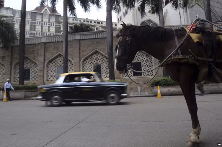 Số lượng taxi Fiat ở Mumbi đã giảm đáng kể. Trước đó, ở thời kỳ hoàng kim vào những năm 1970, số lượng taxi Fiat trên đường phố Mubai lên tới 60.000 chiếc.