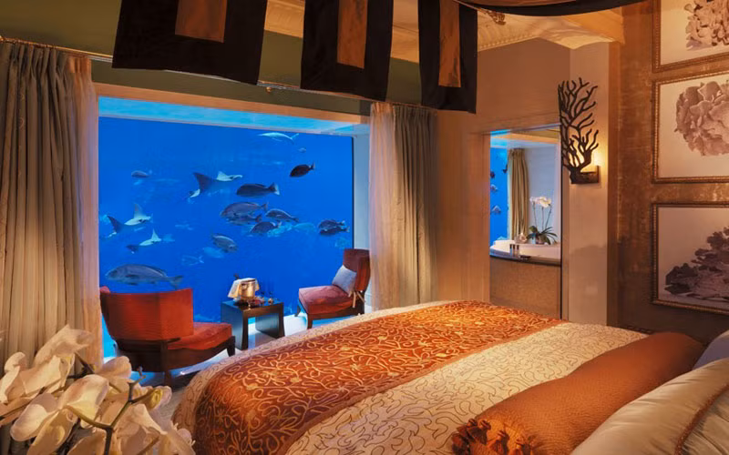 Khách sạn 1.539 phòng được xây dựng trên đảo hình cây cọ dừa Palm Jumeirah có điểm nổi bật và hút khách nhất là Royal Bridge Suite hình cung kết nối 2 phần tách biệt của một khách sạn.