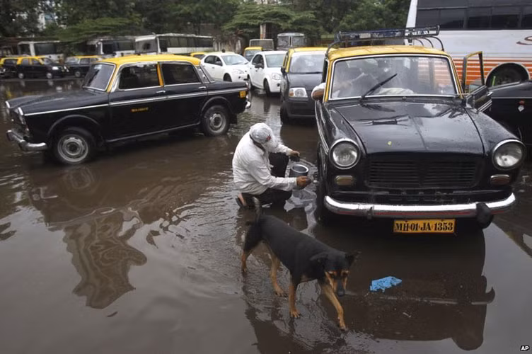 Nhiều người dân lo ngại, nếu những chiếc taxi Premier Padmini nổi tiếng bị loại bỏ khỏi đường phố, Mumbai sẽ mất đi một phần linh hồn của nó.
