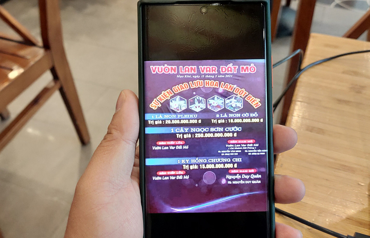 Chu vuon noi gi ve vu giao dich lan dot bien gan 300 ty dong