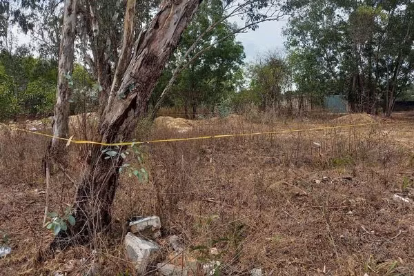 Be gai 5 tuoi nghi bi xam hai, tu vong bat thuong o bai dat trong gan nha-Hinh-2