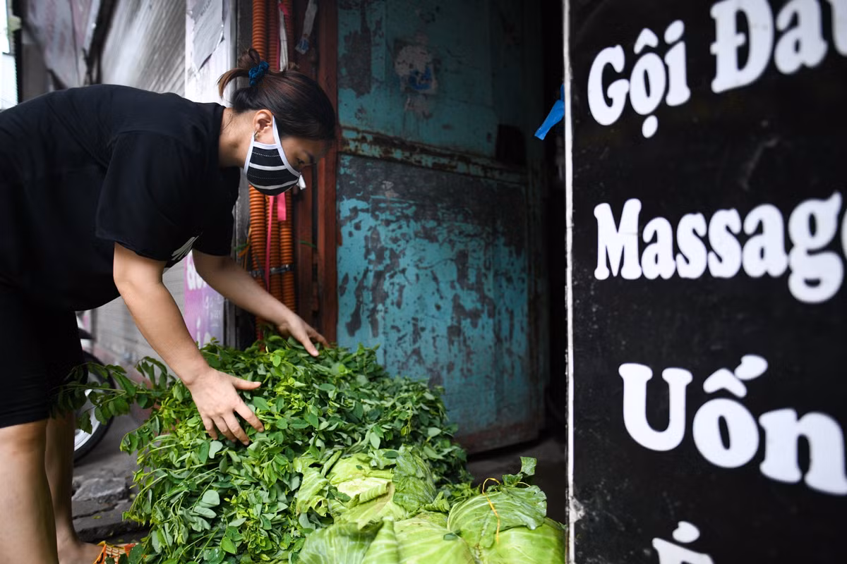 Rau ngót trồng đồi, măng rừng tự muối, cam, bưởi, sắn... là những thực phẩm chị Lương đang kinh doanh. "Bán hàng rồi thì cũng thấy vui tay, ít ra mình có việc để làm trong hoàn cảnh khó khăn như hiện nay. Thỉnh thoảng chồng tôi lại trêu thế hết dịch thì làm tiệm tóc hay bán rau", chị cười nói.
