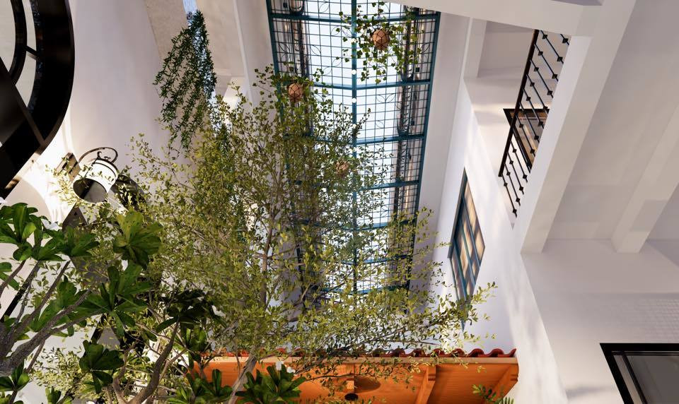 Vo chong trung nien roi pho thi, ve vung que xay nha vuon-Hinh-8