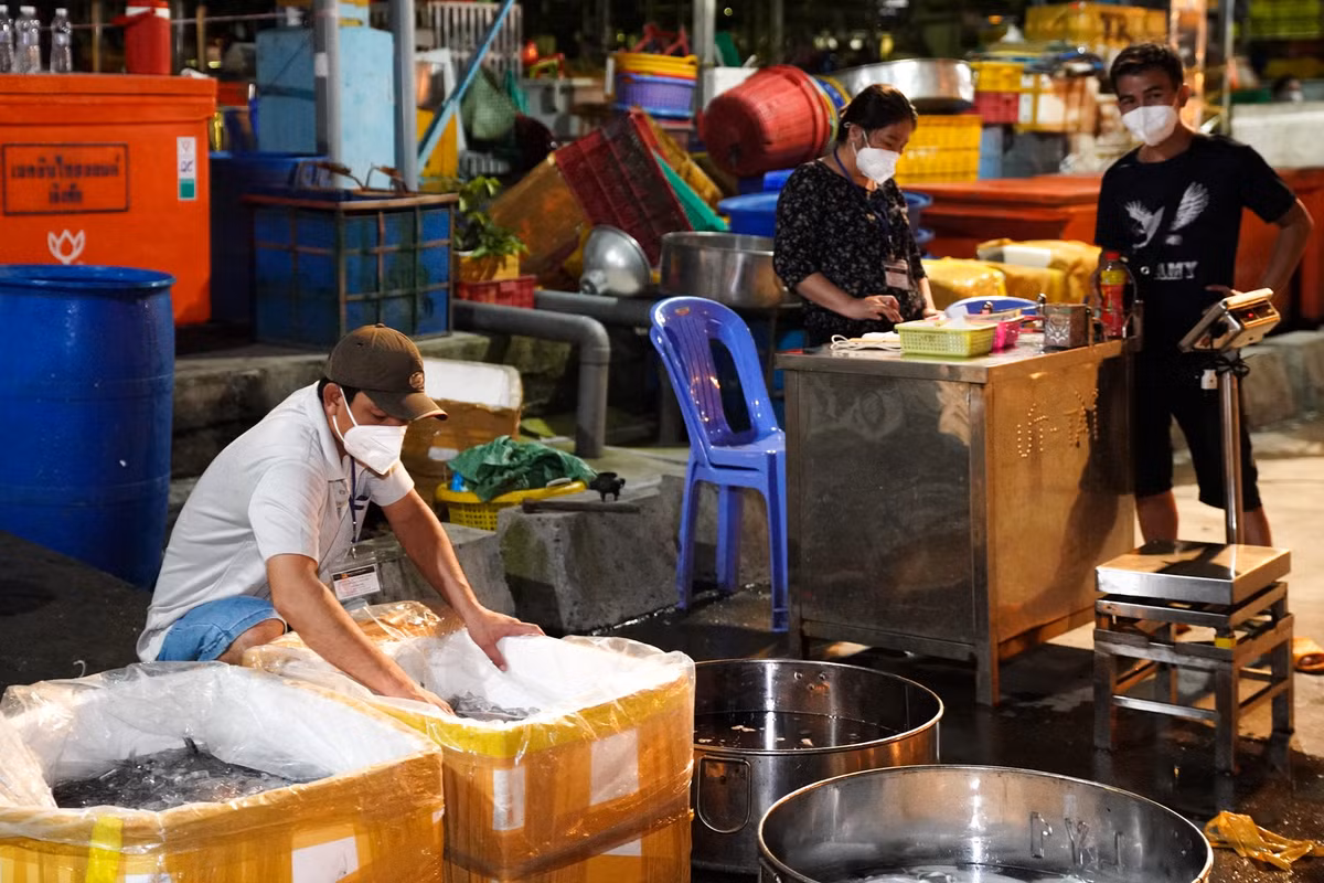 Sau 2 tháng tạm ngừng hoạt động, chợ đầu mối Bình Điền, chợ đầu mối lớn nhất TP.HCM, đã mở cửa trở lại vào đêm 7/9. Chợ hoạt động dưới hình thức là điểm tập kết, trung chuyển hàng hóa từ các tỉnh về thành phố. Điểm trung chuyển không hoạt động giao dịch và tập trung mua bán, chỉ nhận hàng rồi giao đi cho các chợ nhỏ, siêu thị và các bếp ăn tập thể.