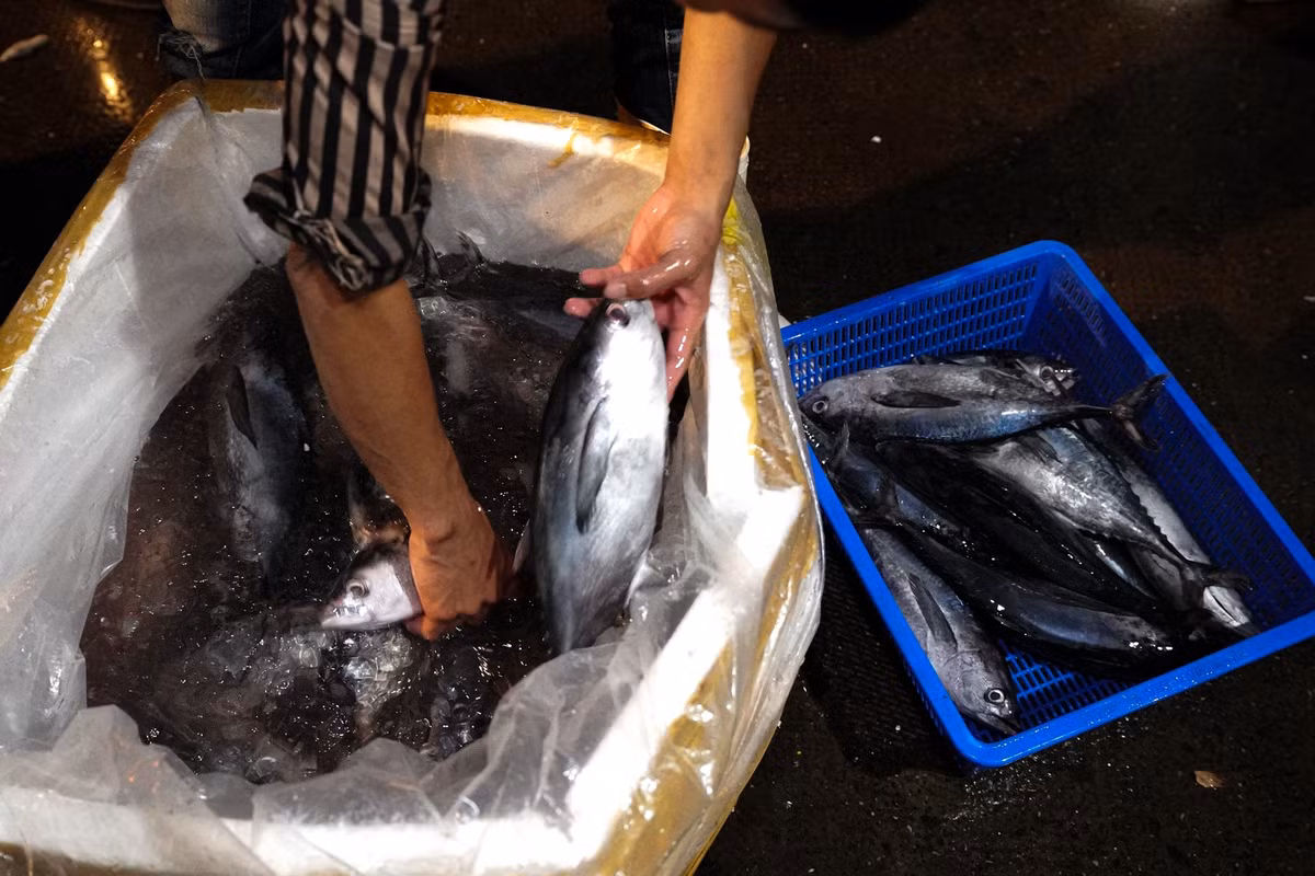 "Giá ổn định từ 170.000 - 200.000 đồng/kg tùy loại, chỉ mong giữ được bạn hàng trong thời điểm này", chị Mộng chia sẻ thêm.