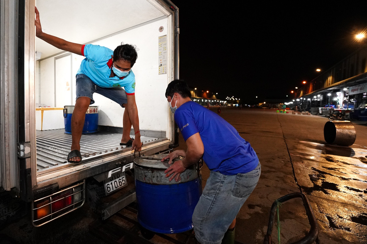 Các xe chở hàng ở các tỉnh đổ về điểm trung chuyển để tập kết hàng hóa tại chợ đầu mối Bình Điền, trong đó chủ yếu là hải sản, rau củ, thịt heo...