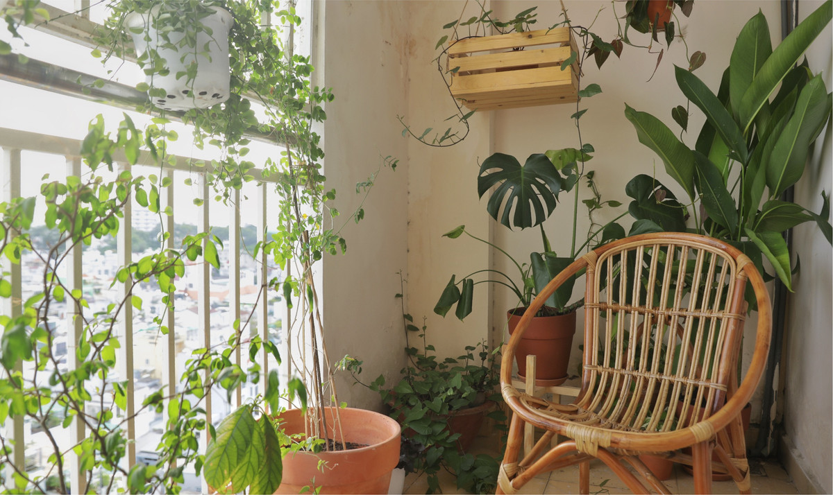 Don dep va phu xanh ban cong 4 m2 khi gian cach-Hinh-8