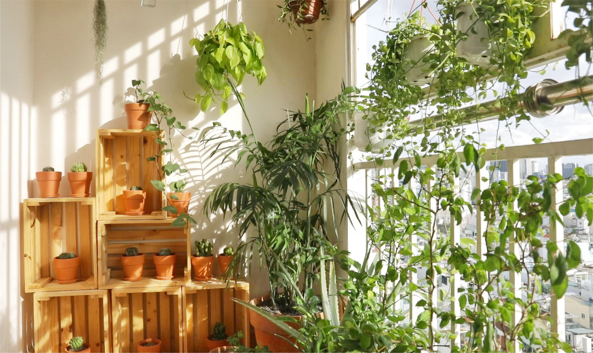 Don dep va phu xanh ban cong 4 m2 khi gian cach-Hinh-2