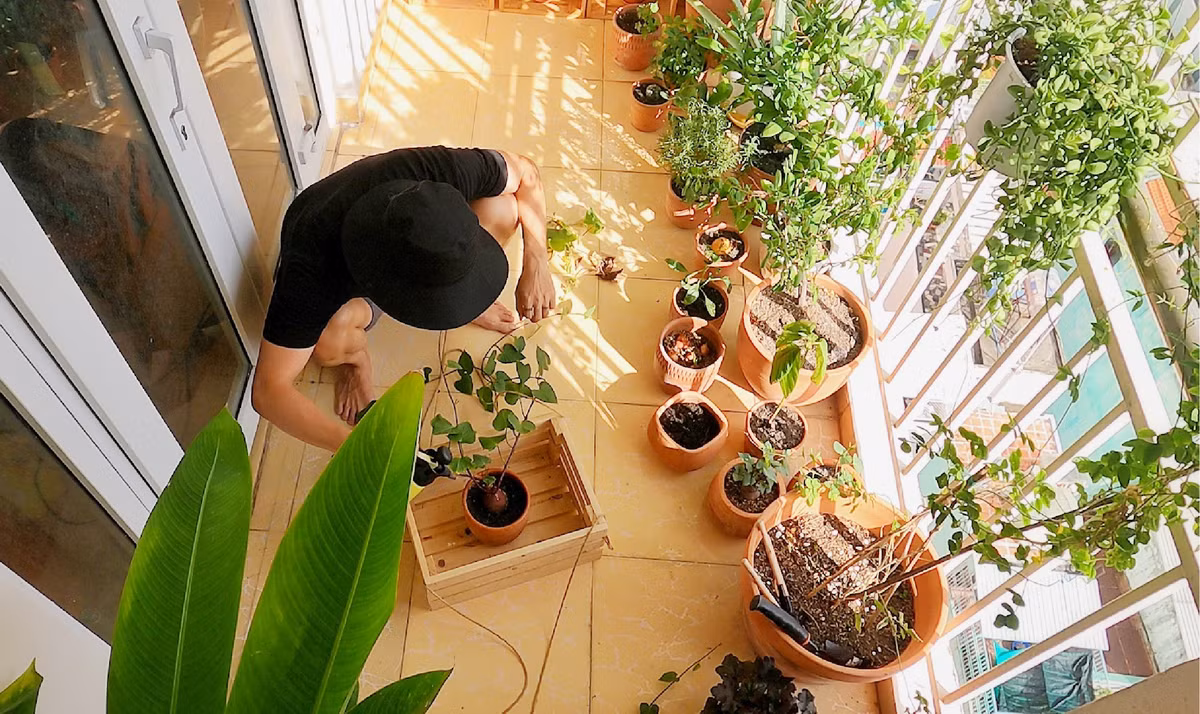 Don dep va phu xanh ban cong 4 m2 khi gian cach-Hinh-7