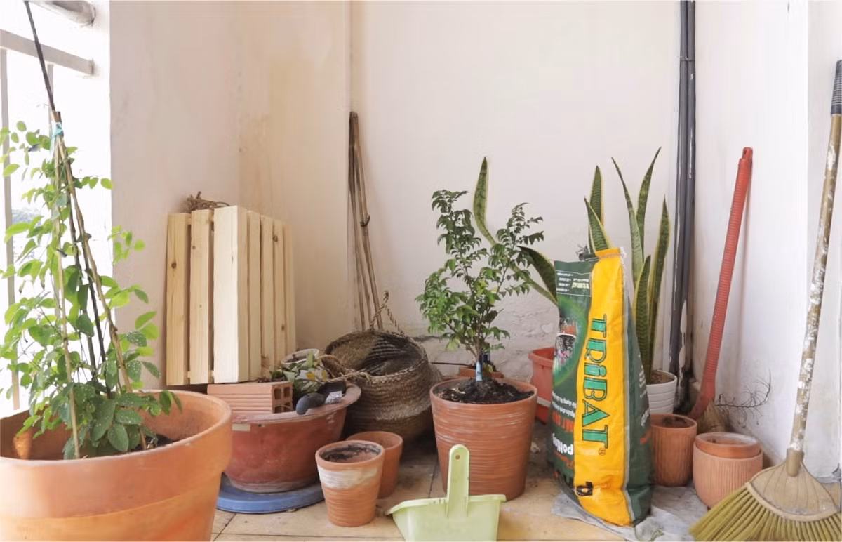 Don dep va phu xanh ban cong 4 m2 khi gian cach-Hinh-6