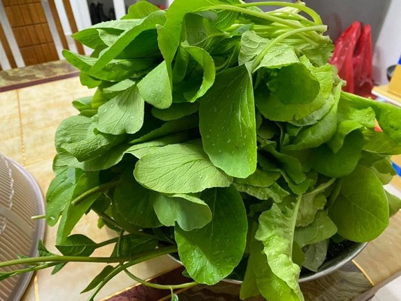 Khu vuon rau cu sach “an khong het” cua ca si Pham Truong-Hinh-9