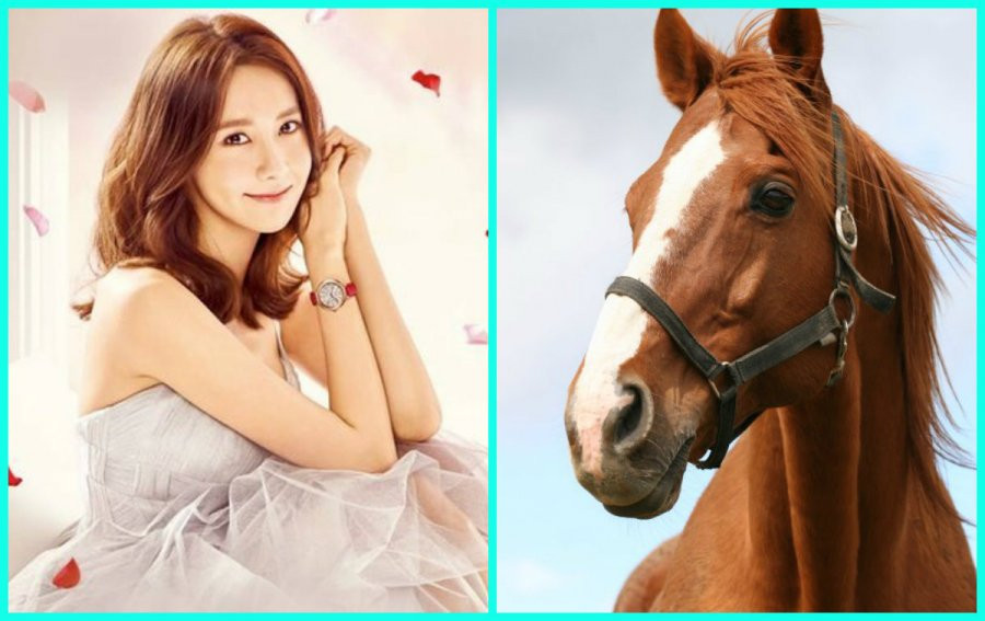 3 con giap ra duong dap trung mo vang, lam gi cung giau co