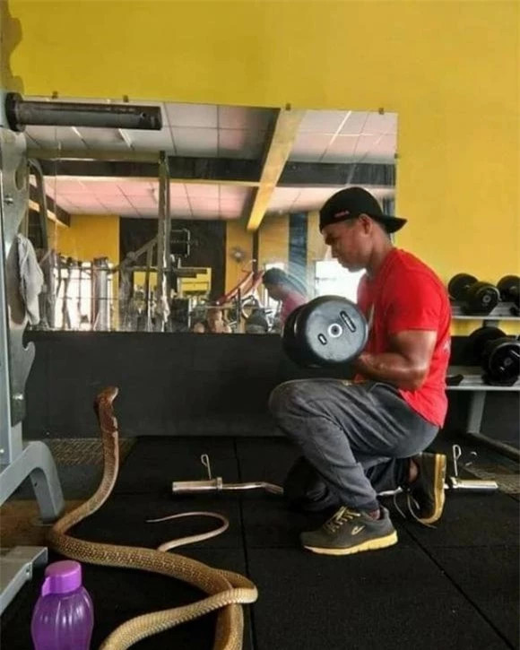 br/> Mọi người đều gọi anh ta là "người đàn ông sống cùng rắn," và từng nhiều lần cảnh báo rằng: "Động vật mãi mãi vẫn là động vật, sẽ có một ngày nó làm bạn bị thương". Nhưng chàng trai này vẫn kiên định với ý nghĩ rằng "tình yêu đích thực" sẽ cùng nhau vượt qua nguy hiểm.