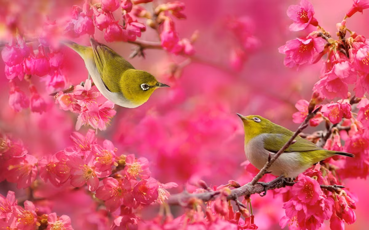 Nguoi sinh vao 5 ngay Am lich nay, ca doi phu quy, hanh phuc-Hinh-3