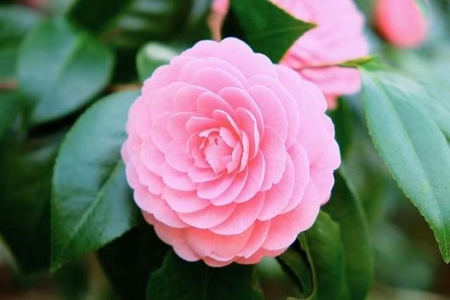 Ai sinh vào 3 khung giờ này, cuối 2024 may mắn nhân đôi - Hình 3 Ai sinh vao 3 khung gio nay, cuoi 2024 may man nhan doi-Hinh-3