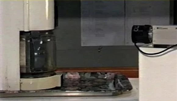  5. Webcam đầu tiên trên thế giới được dùng để theo dõi cà phê: Webcam ngày nay phổ biến đến mức bất kỳ điện thoại thông minh nào cũng nên có. Nhưng điều mà nhiều người không biết là những chiếc máy tính đầu tiên được thiết kế để giám sát cà phê. Nó được phát minh vào năm 1993. 