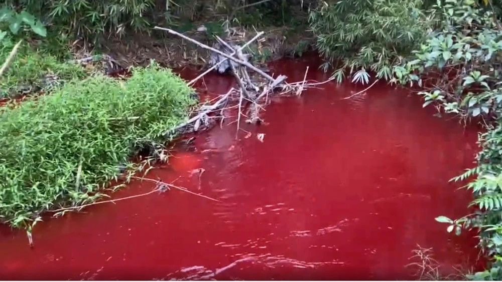 Da xac dinh duoc nguyen nhan nuoc suoi o Binh Phuoc chuyen mau do