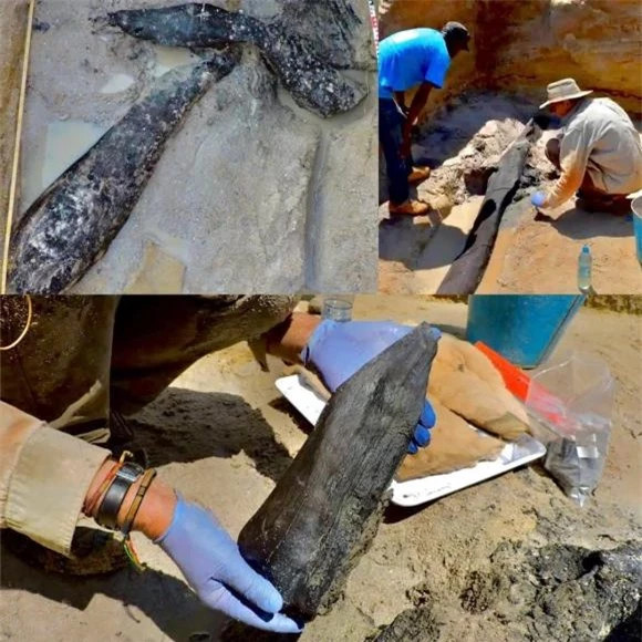 Tìm thấy 2 khúc gỗ 500.000 năm tuổi, lịch sử phải viết lại Tim thay 2 khuc go 500.000 nam tuoi, lich su phai viet lai