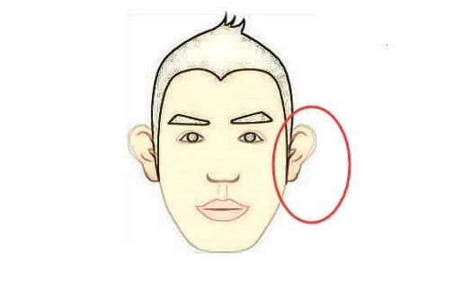  Tai gió: Có nghĩa là tai cụp ra ngoài, vành tai lộ ra ngoài, giống như cái quạt. Dáng vẻ này là người lười biếng, tham lam sắc đẹp, chỉ biết hưởng thụ, không chịu bỏ ra sức lực để kiếm tiền mà chỉ ăn uống thả ga, không tiết kiệm, không hoạch định cho tương lai thì sẽ nghèo khổ cả đời. 