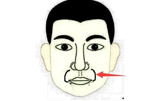  Đường râu rồng hai bên miệng: Các đường nét râu rồng xuất hiện trên khuôn mặt và đặc điểm này cũng thường xuất hiện sau tuổi trung niên. Nếu các đường râu rồng xuất hiện sớm thì phần lớn vận may sớm yếu hơn. 
