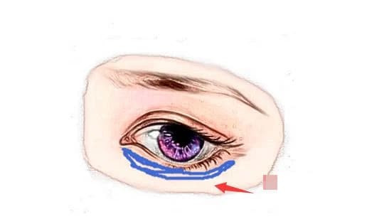 br/> Bờ mi dưới to và đen: Xét về mặt, mí mắt dưới là cung con cái, đại diện cho tài lộc, phúc đức của một người,… mí mắt dưới đầy đặn và hơi ngả vàng có nghĩa là đường tài lộc lớn mạnh, gặp nhiều may mắn. 