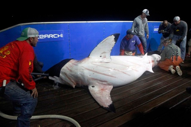 Nu tien si chuyen di thu thap tinh trung ca map trang khong lo-Hinh-4