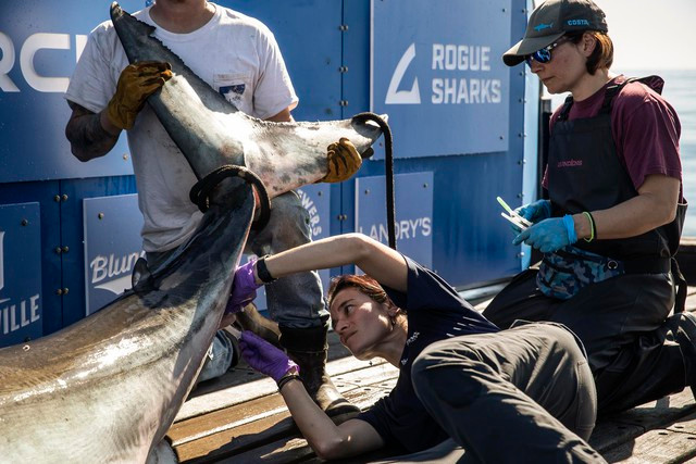 Nu tien si chuyen di thu thap tinh trung ca map trang khong lo-Hinh-7