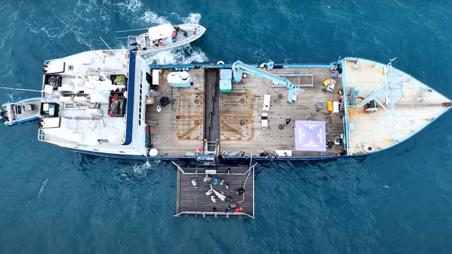 Nu tien si chuyen di thu thap tinh trung ca map trang khong lo-Hinh-10