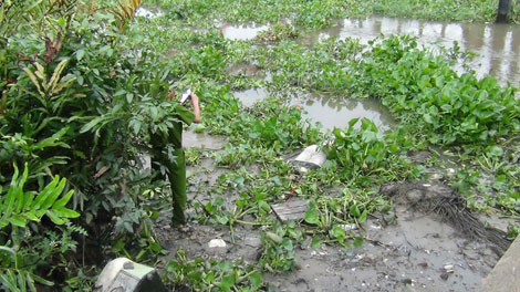 Thi thể nạn nhân.