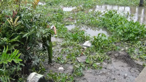 Thi thể nạn nhân.