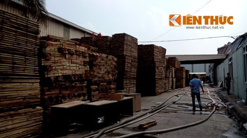 Các loại gỗ được chuyển từ ngoài vào, sau khi ngọn lửa được khống chế.