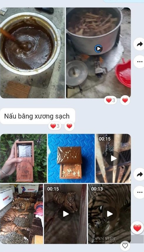 Tet nam Ho va lac thu cua nhung ke tan sat Chua Son Lam