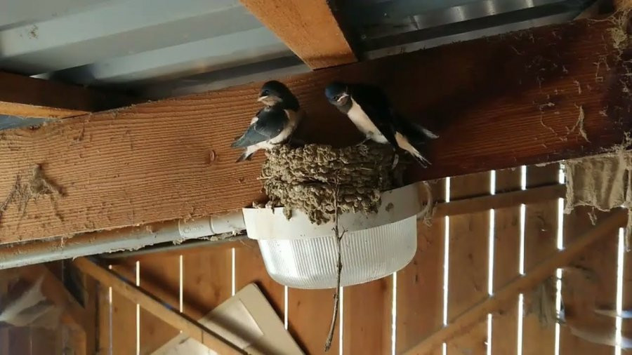 Trong nha xuat hien 5 dau hieu nay, tien tai van may un un keo den