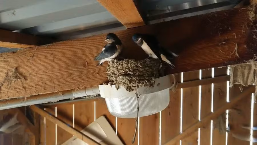 Trong nha xuat hien 5 dau hieu nay, tien tai van may un un keo den