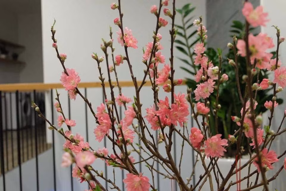 Nha pho 3 tang o Da Nang khac phuc duoc nhuoc diem thieu sang-Hinh-20