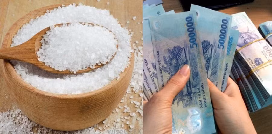 Dau nam Nham Dan am tham dat mot nhum muoi o vi tri nay: Tai loc ua ve-Hinh-2