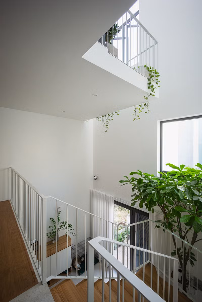 Điều đặc biệt của ngôi nhà là kiến trúc sư đưa sân và ban công vào bên trong ngôi nhà Bi &amp; Sam.