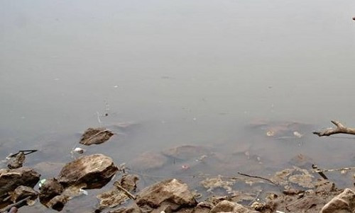 Nơi phát hiện phần thi thể đứt rời.