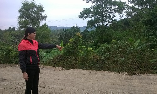 lam so do chi tram trieu van bi thu hoi dat hinh anh 