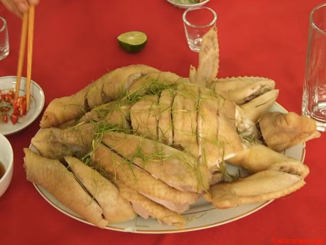 Gà luộc.
