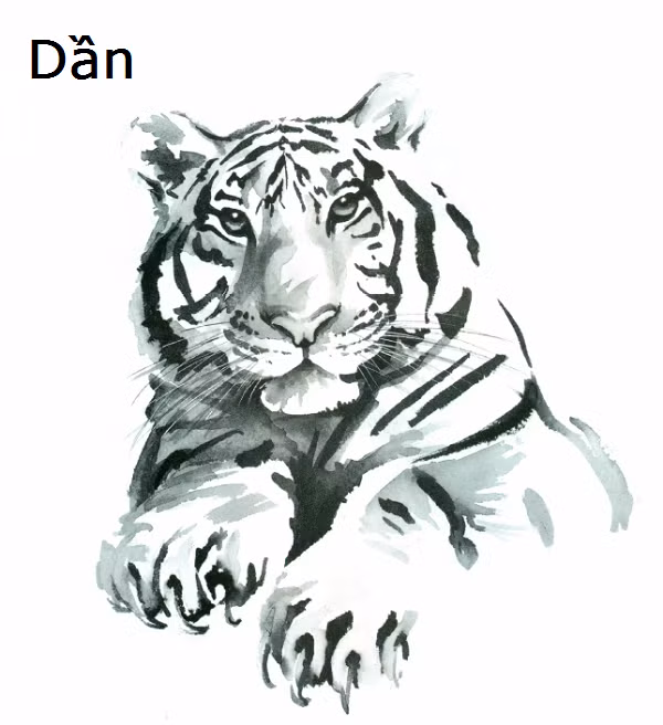 Sức khỏe (55 điểm): Không có vấn đề gì trở ngại.