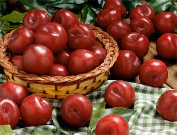 Vi sao Tet Doan Ngo co nguon goc tu Viet Nam?