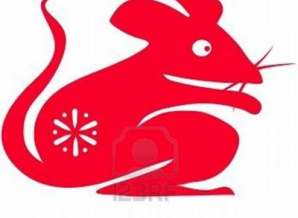 Tình cảm: Có những chuyển biến tốt, những người tuổi Tý chưa lập gia đình rất có thể sẽ gặp nửa kia định mệnh của đời mình.