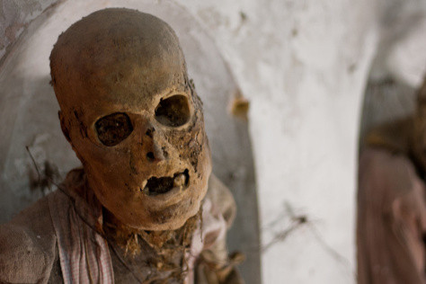 Hình ảnh ghê rợn khiến không ít du khách phải chùn bước.