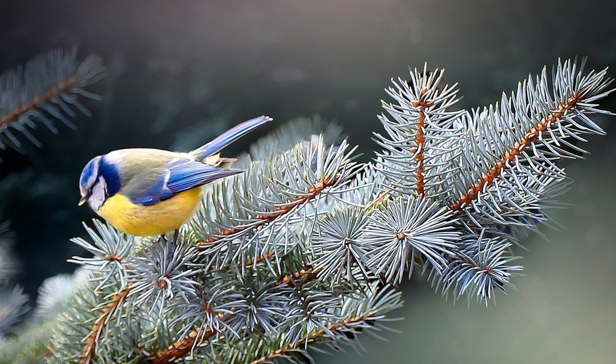 Quy co sinh thang Am lich nay, xinh dep tu trung nuoc