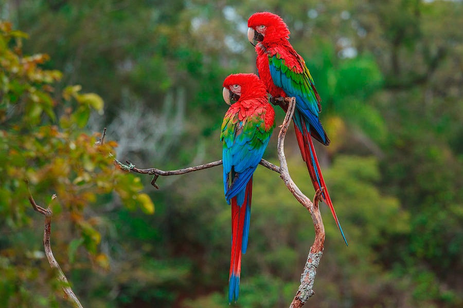 Quy co sinh 3 ngay Am lich nay dieu da, may man