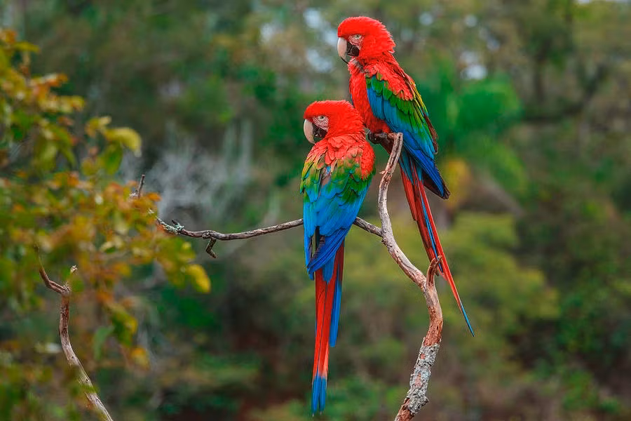 Quy co sinh 3 ngay Am lich nay dieu da, may man