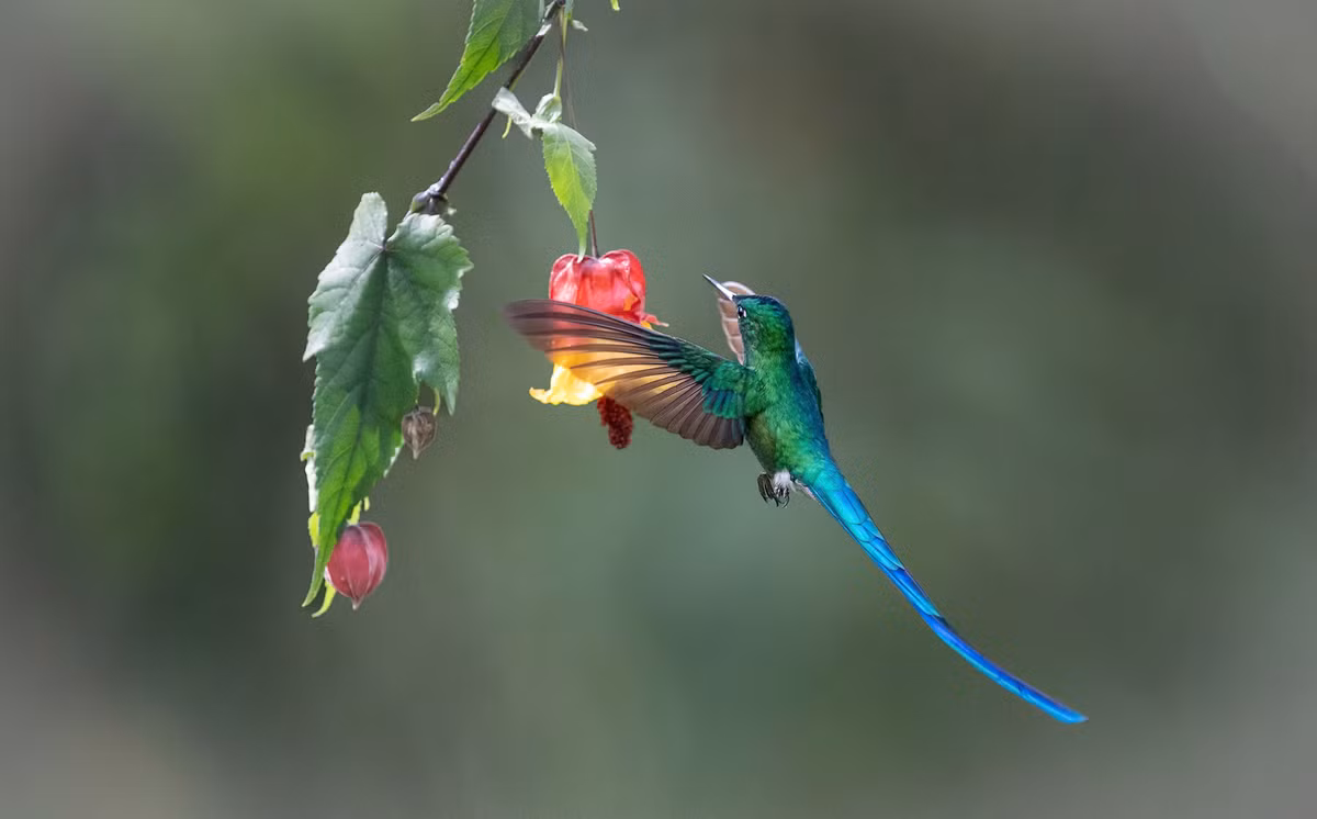 Quy co sinh 3 ngay Am lich nay dieu da, may man-Hinh-3